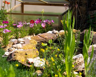 Alternative text should describe the visual content of the image.