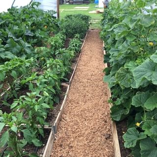 Alternative text should describe the visual content of the image.