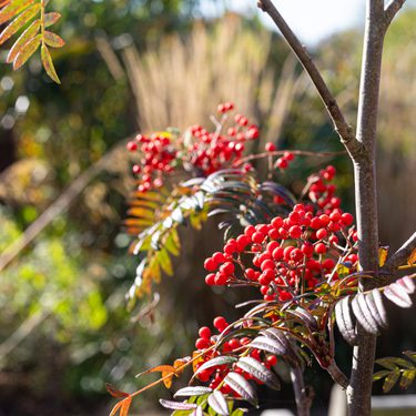 Alternative text should describe the visual content of the image.