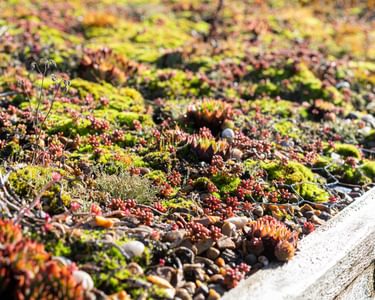 Alternative text should describe the visual content of the image.