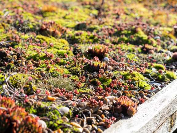 Alternative text should describe the visual content of the image.