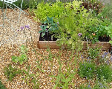 Alternative text should describe the visual content of the image.