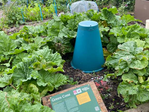 A green cone compost bin sat in a vegetable bed