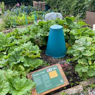 A green cone compost bin sat in a vegetable bed