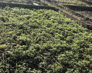 Alternative text should describe the visual content of the image.