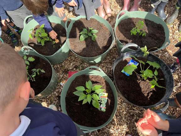 Alternative text should describe the visual content of the image.