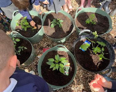 Alternative text should describe the visual content of the image.