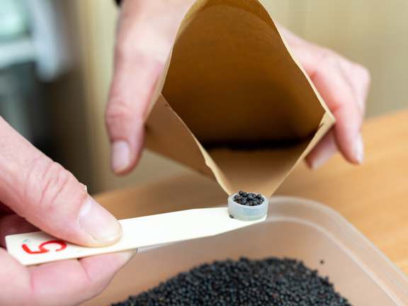 Alternative text should describe the visual content of the image.