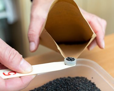 Alternative text should describe the visual content of the image.