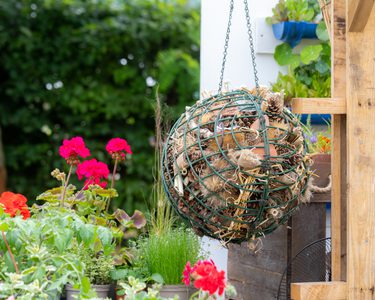 Alternative text should describe the visual content of the image.