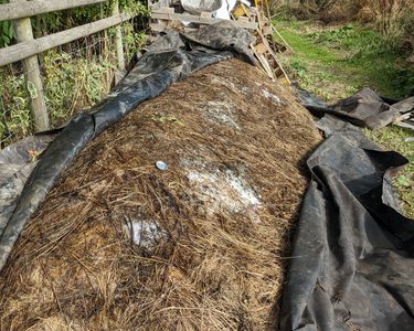 Alternative text should describe the visual content of the image.