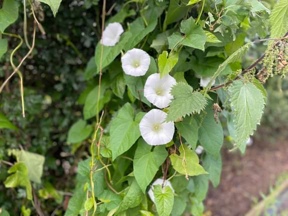 Alternative text should describe the visual content of the image.