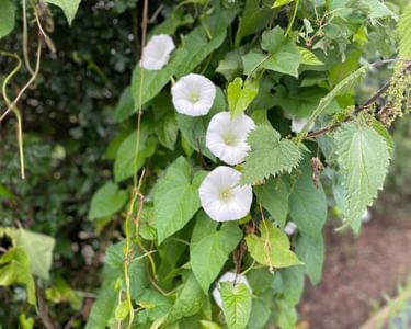 Alternative text should describe the visual content of the image.