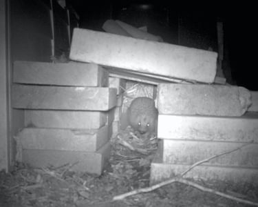 Alternative text should describe the visual content of the image.