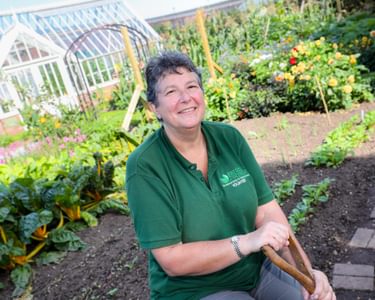 Alternative text should describe the visual content of the image.