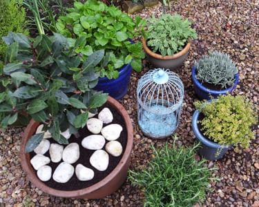 Alternative text should describe the visual content of the image.