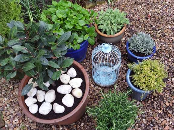 Alternative text should describe the visual content of the image.