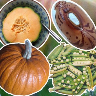 Alternative text should describe the visual content of the image.