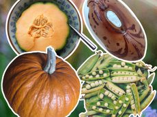 Alternative text should describe the visual content of the image.