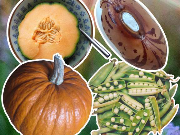 Alternative text should describe the visual content of the image.