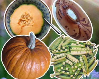 Alternative text should describe the visual content of the image.