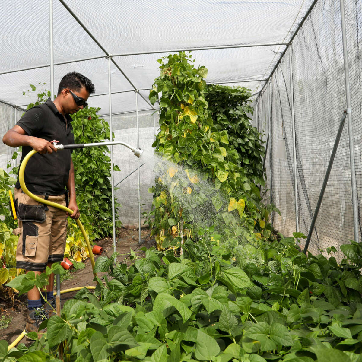 Heritage Seed Library volunteers