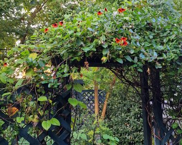 Alternative text should describe the visual content of the image.