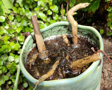 Alternative text should describe the visual content of the image.