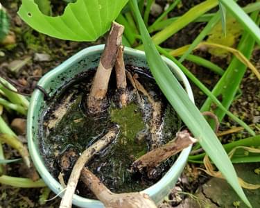 Alternative text should describe the visual content of the image.