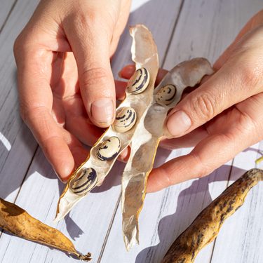 Alternative text should describe the visual content of the image.