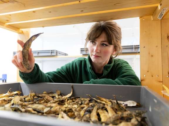 Alternative text should describe the visual content of the image.