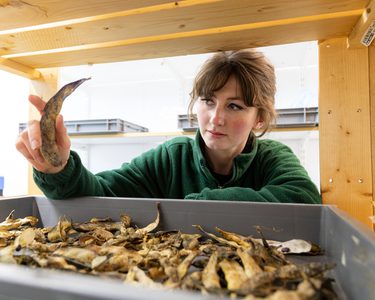 Alternative text should describe the visual content of the image.