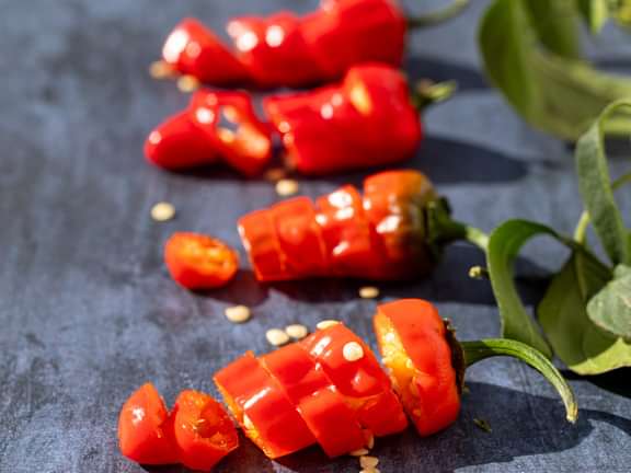 Alternative text should describe the visual content of the image.