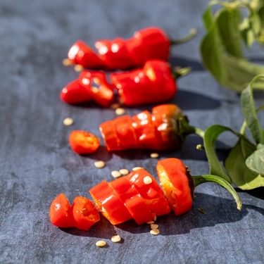 Alternative text should describe the visual content of the image.