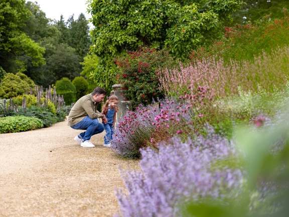 Alternative text should describe the visual content of the image.