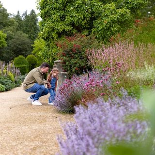 Alternative text should describe the visual content of the image.