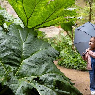 Alternative text should describe the visual content of the image.