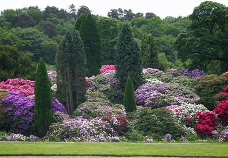 Alternative text should describe the visual content of the image.