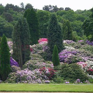 Alternative text should describe the visual content of the image.