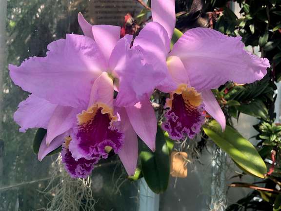 Alternative text should describe the visual content of the image.