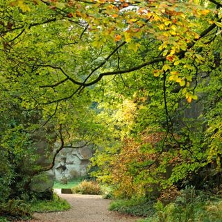 Alternative text should describe the visual content of the image.