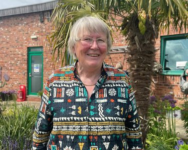 Alternative text should describe the visual content of the image.