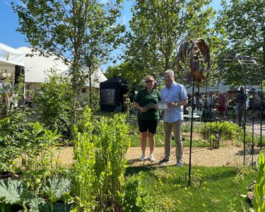 Alternative text should describe the visual content of the image.