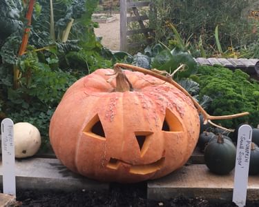 Alternative text should describe the visual content of the image.