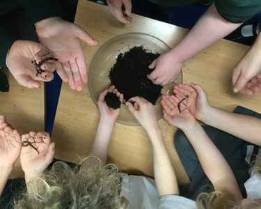 Alternative text should describe the visual content of the image.