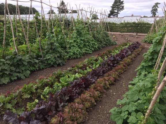 Alternative text should describe the visual content of the image.