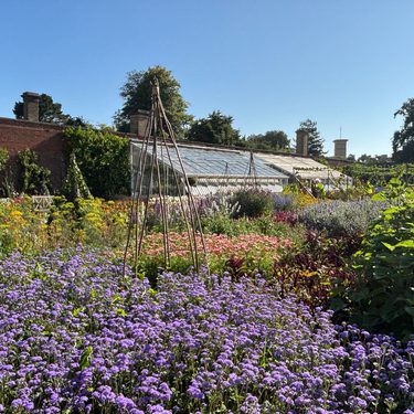 Alternative text should describe the visual content of the image.