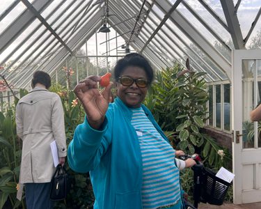 Alternative text should describe the visual content of the image.