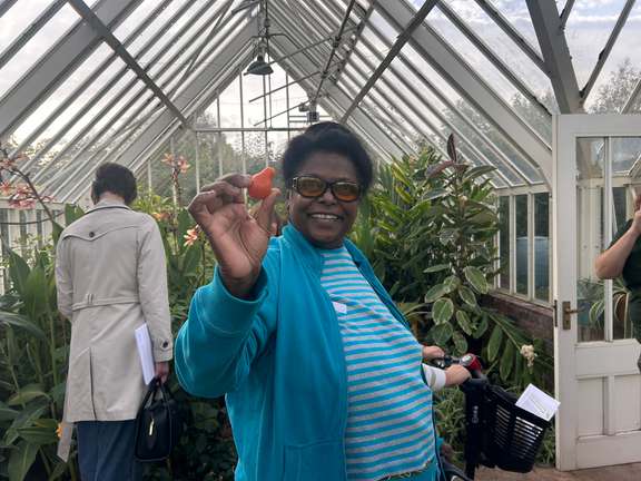 Alternative text should describe the visual content of the image.