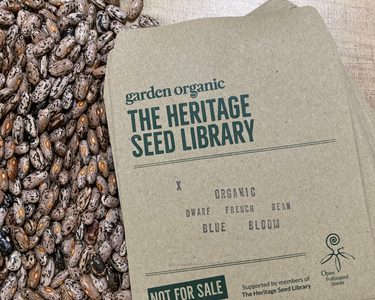 Alternative text should describe the visual content of the image.